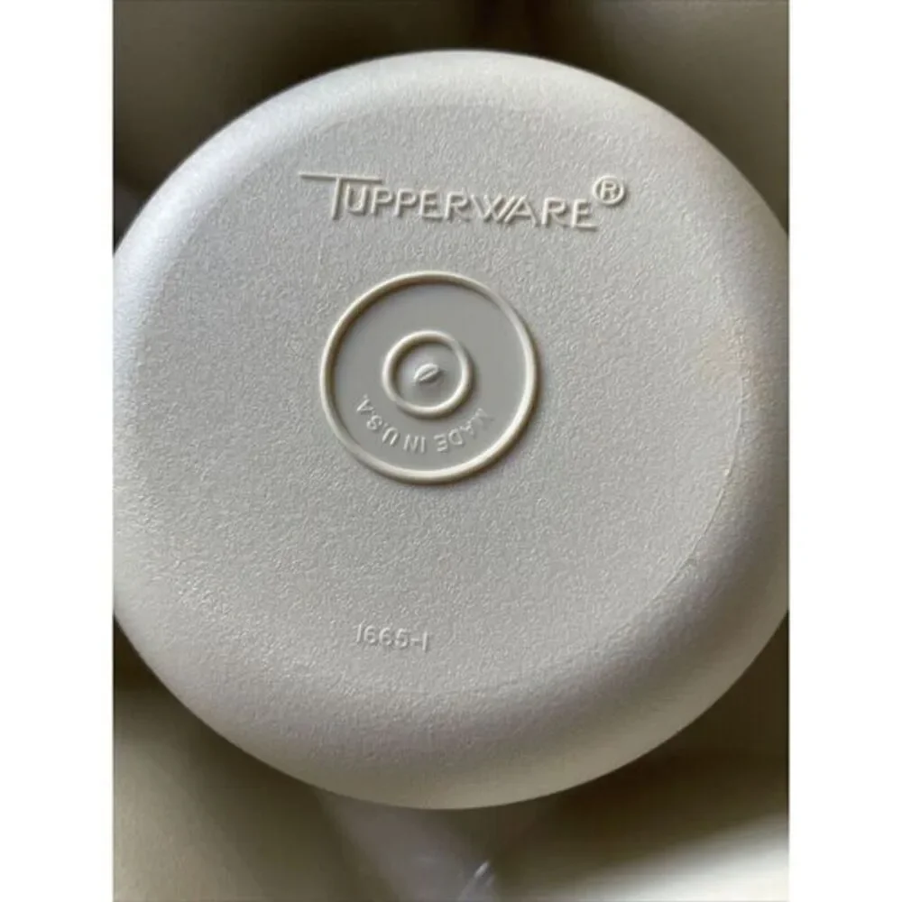 Tupperware Vintage Serving Center Tray Divided Chill Layered Veggies Chips Fruit